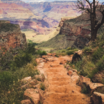 Tragic Incident on Bright Angel Trail: Hiker's Death in Grand Canyon National Park