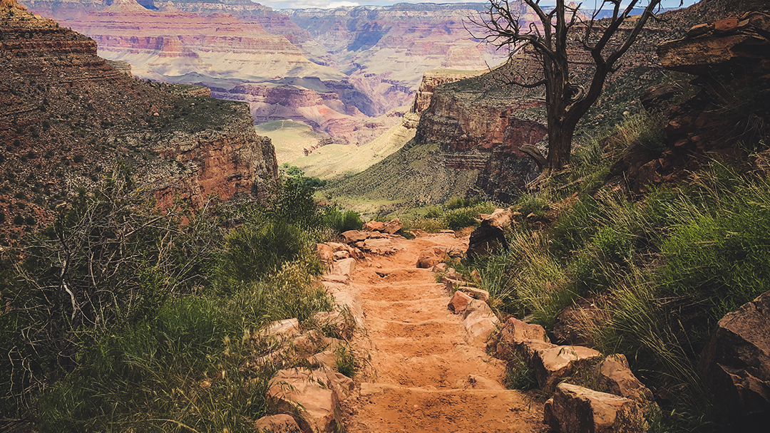 Tragic Incident on Bright Angel Trail: Hiker's Death in Grand Canyon National Park